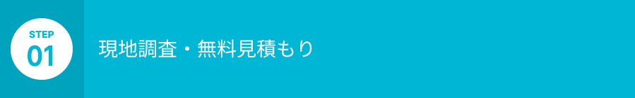 現地調査